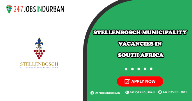 Stellenbosch Municipality Vacancies in South Africa | Apply Online Stellenbosch Municipality Vacancies